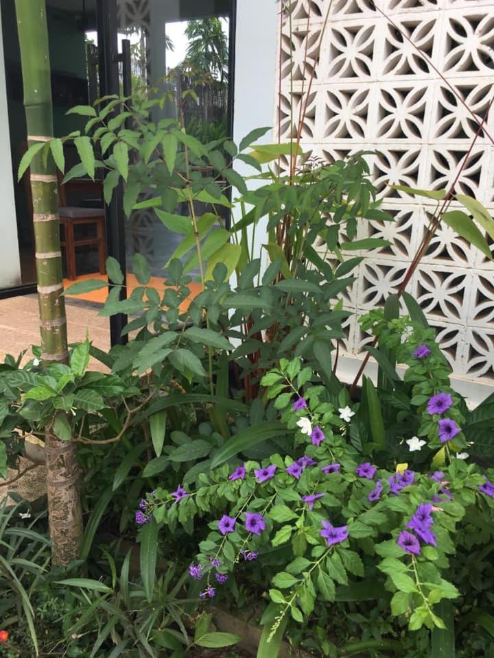 Villa D'Orange Sziemreap Kültér fotó